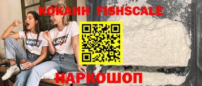 шишки Тулун