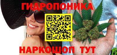 шишки Тулун