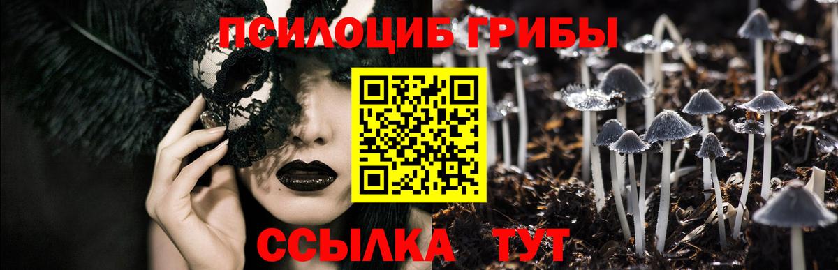 Псилоцибиновые грибы MAGIC MUSHROOMS  Вход с VPN  Галлюциногенные грибы мухоморы  как найти закладки  Ковров 